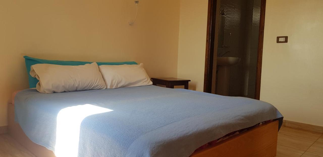 Habibi Nubian Guest House-Nubian Hospitality Asvan Dış mekan fotoğraf