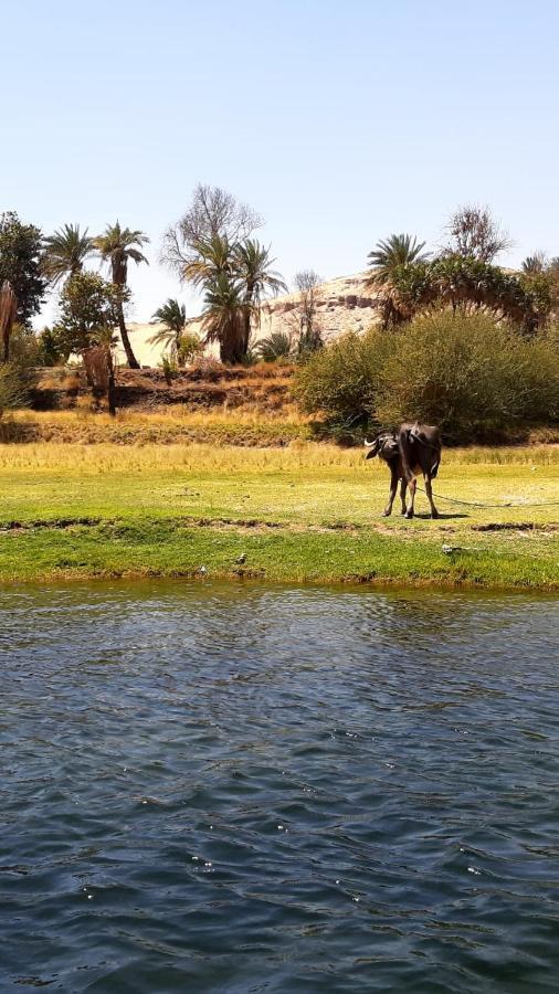 Habibi Nubian Guest House-Nubian Hospitality Asvan Dış mekan fotoğraf