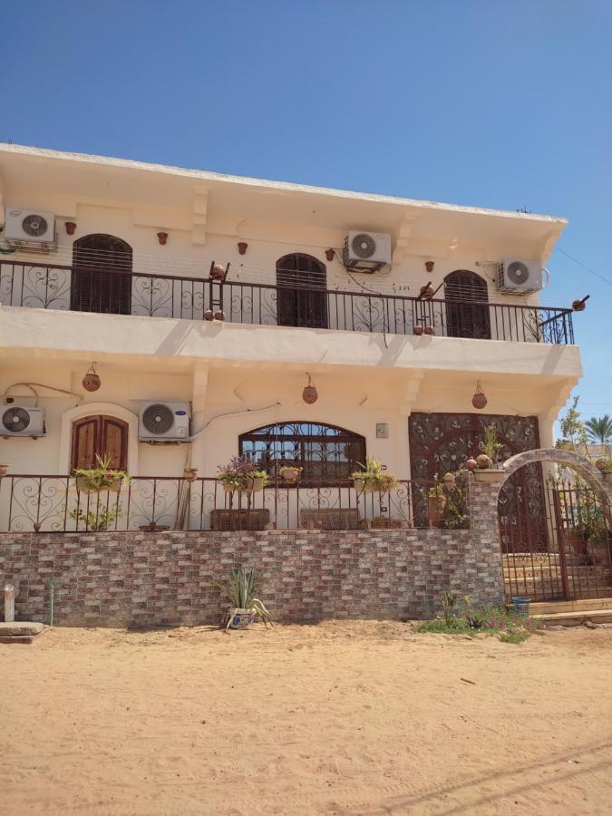 Habibi Nubian Guest House-Nubian Hospitality Asvan Dış mekan fotoğraf