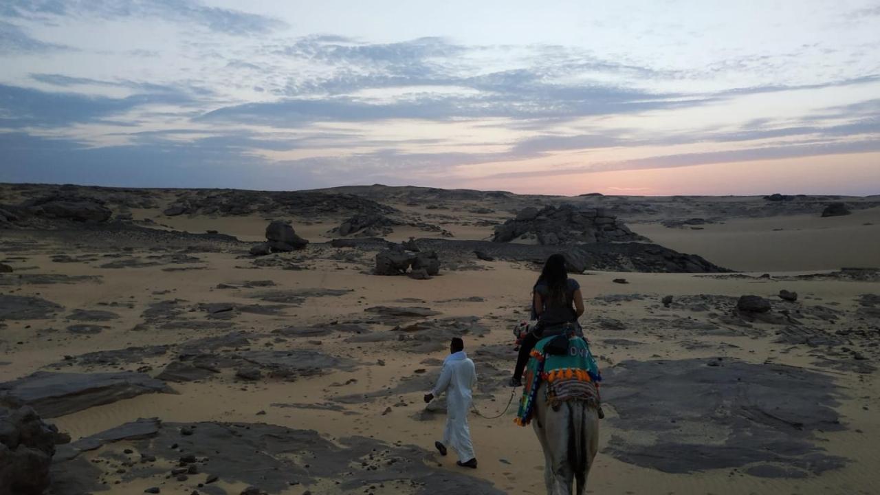 Habibi Nubian Guest House-Nubian Hospitality Asvan Dış mekan fotoğraf
