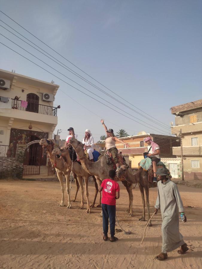 Habibi Nubian Guest House-Nubian Hospitality Asvan Dış mekan fotoğraf