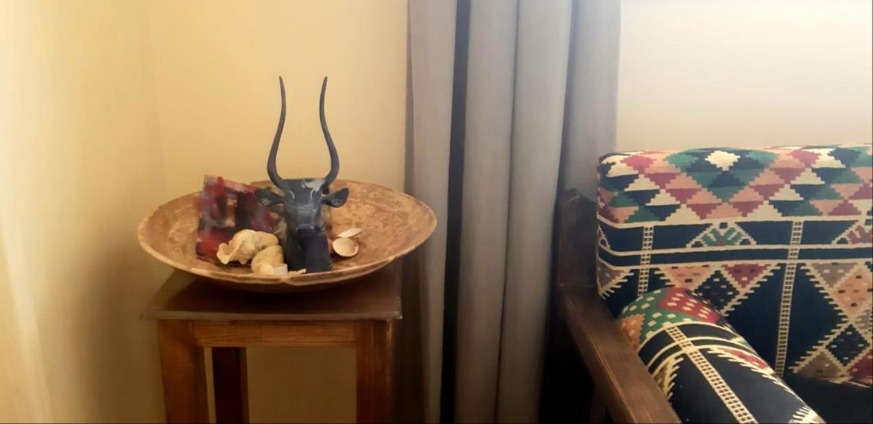 Habibi Nubian Guest House-Nubian Hospitality Asvan Dış mekan fotoğraf