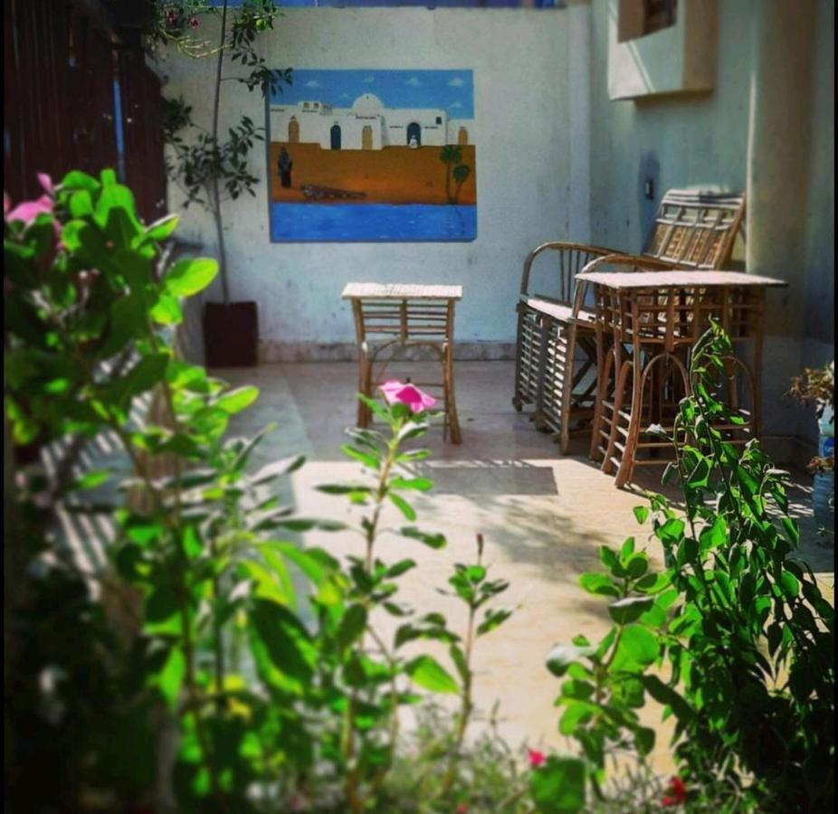 Habibi Nubian Guest House-Nubian Hospitality Asvan Dış mekan fotoğraf