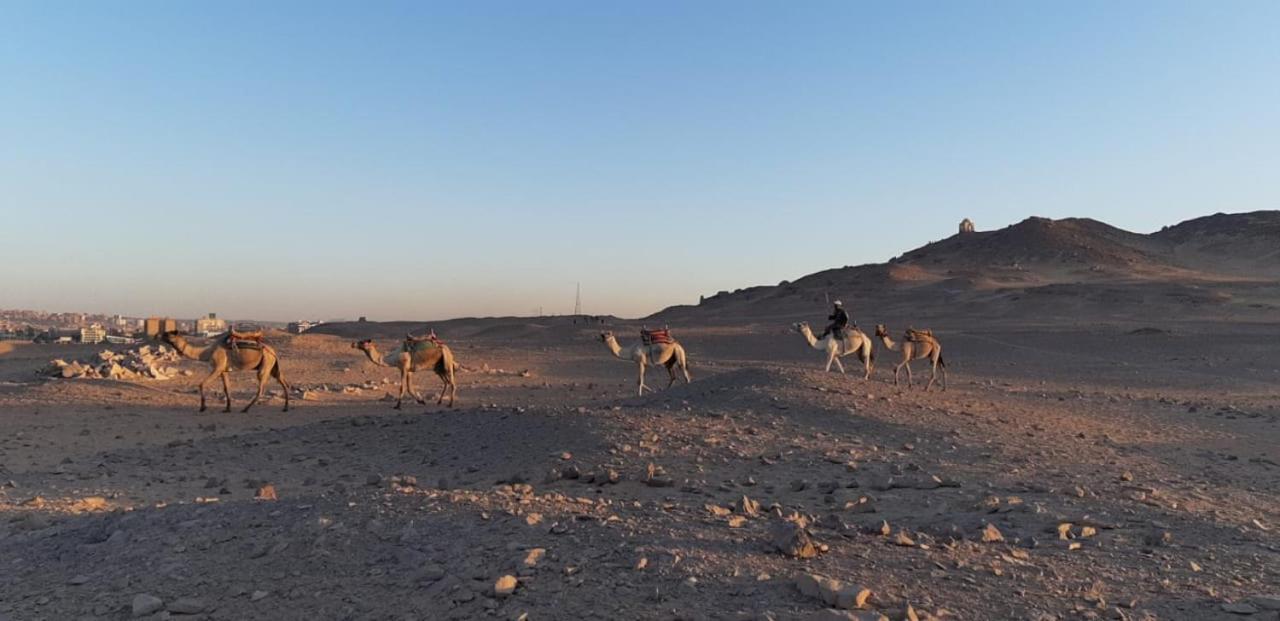 Habibi Nubian Guest House-Nubian Hospitality Asvan Dış mekan fotoğraf
